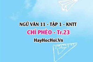 Soạn bài Chí Phèo trang 23 Ngữ văn lớp 11 Kết nối tri thức tập 1